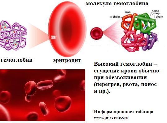 Гемоглобин у детей
