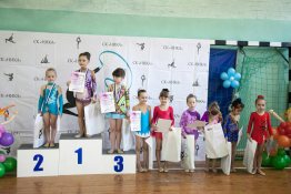 Художественная гимнастика Художественная гимнастика